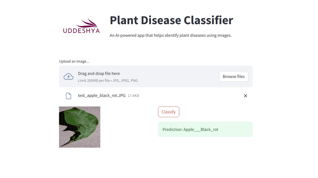 Potato Disease Classification